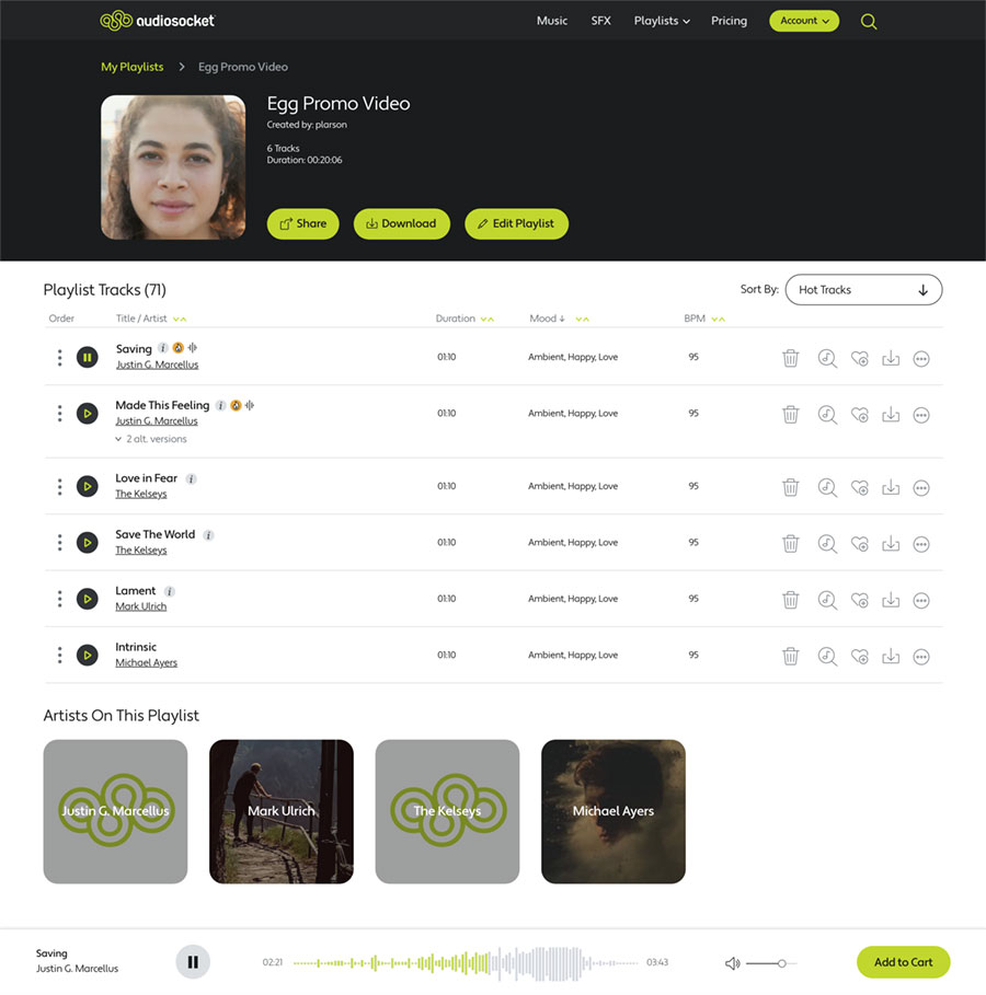 Screenshot of Audiosocket Individual Playlist Page